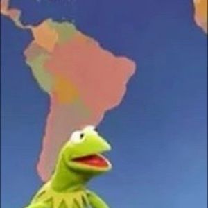 Meet your Posher, Wyatt